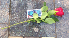 Foto: Frisch gereinigte Stolpersteine im Hansaviertel von Berlin Mitte, in der Mitte liegt eine rote Rose und ein Zettel. Die Stolpersteine erinnern an Bertram Norbert Wall, Ruth Wall, Hans Hartstein, Bela Wall, Joel Hartstein, Rosa Ziegler, Günther Behmack, Herta Jakobsthal und Herbert Jakobsthal. Weitere Informationen finden sich auf der Webseite stolpersteine-berlin.de Die jeweiligen Steine sind im Beitrag auf unserer Webseite verlinkt.
