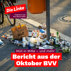 bericht aus der bvv. afpub Lizenzfreies Foto via Unsplash von Nils Schirmer. Im Bild ist Müll unter einem Orangenen BSR-Mülleimer auf einer Berliner Straße zu sehen. Darunter steht in einer Textbox: „Müll in Mitte – und mehr: Bericht aus der Oktober BVV“. Oben links ist das Logo der Fraktion die Linke in der BVV Mitte eingefügt.