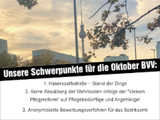 Bildmontage. Zu sehen ist der Fernsehturm zwischen herbstlichen sich gelb färbendem Blättern und einem leicht bewölkten goldig bis sepiafarbene Himmel. Darunter steht in einer Textbox: „Unsere Schwerpunkte für die Oktober BVV: 1. Habersaathstraße – Stand der Dinge 2. Keine Abwälzung der Mehrkosten infolge der "kleinen Pflegereform" auf Pflegebedürftige und Angehörige! 3. Anonymisierte Bewerbungsverfahren für das Bezirksamt“