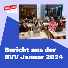 bericht aus der bvv Foto der Fraktion, darunter steht Bericht aus der BVV.