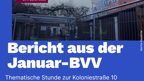 Sharepic mit Foto aus dem Hof der Koloniestraße 10, im Vordergrund ein Bauzaun, im Hintergrund Garagentore, rechts oben sieht man kleine rote Wimpel wehen. Auf dem Bild steht "Bericht aus der Januar-BVV – Thematische Stunde zur Koloniestraße 10" in dicken weißen Buchstaben auf marineblauem Untergrund.