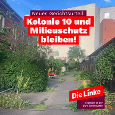 kolonie10bleibt Foto aus dem Kulturhof Kolonie 10 im Sommer. Er blüht, man sieht viele Pflanzen und auch ein paar Vögel. Als Überschrift steht dort: „Neues Gerichtsurteil: Kolonie 10 und Milieuschutz bleiben!“