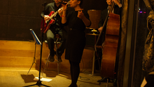Foto vom Live-Auftritt des  Nadia Lafi Trios. Die drei musizieren und singen auf einer kleinen Bühne.